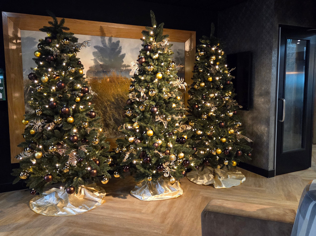 Fletcher Strandhotel Haamstede主图