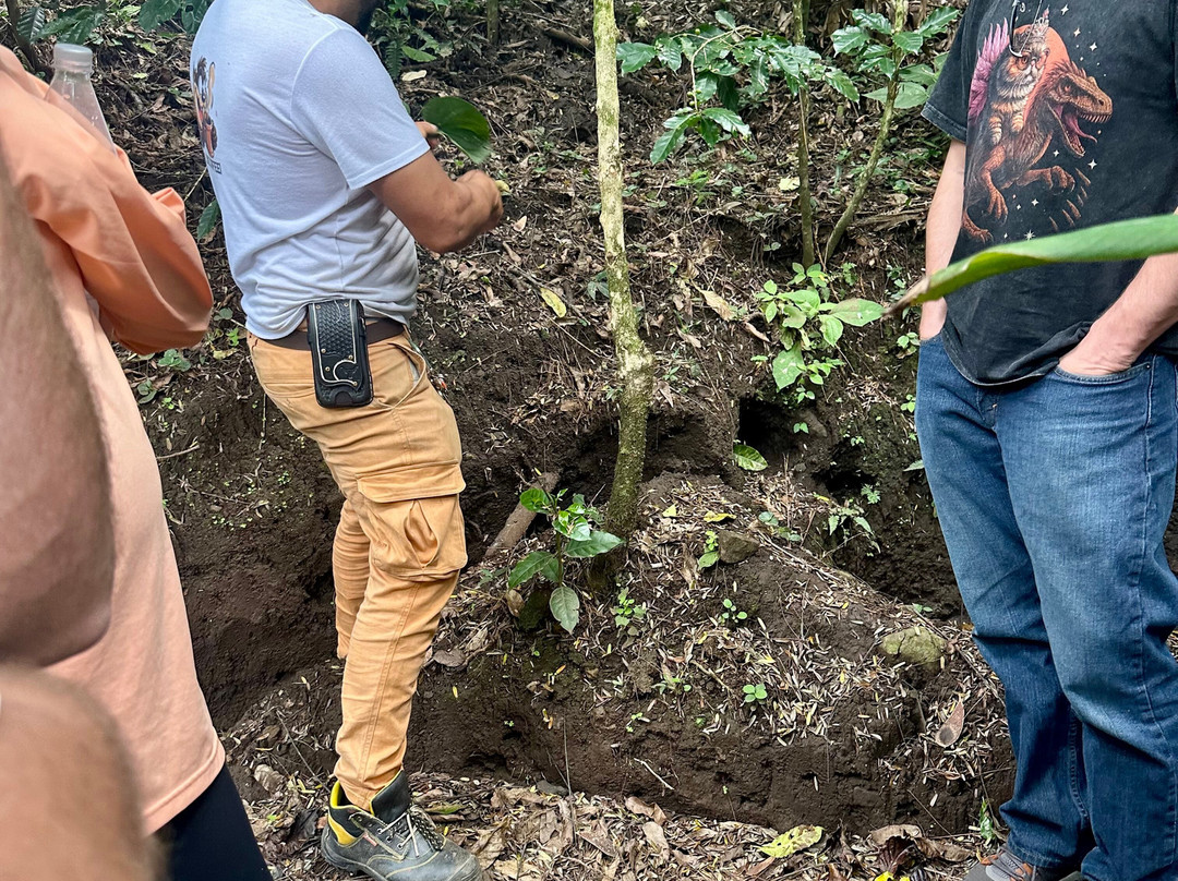 El Toledo Coffee Tour-Atenas必去景点