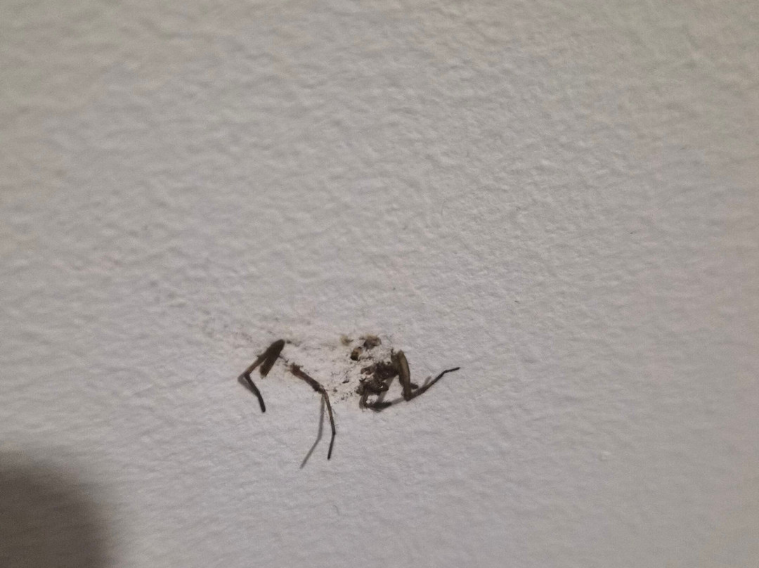 Au Relais Des Lilas主图