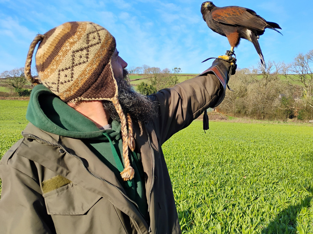 North Devon Hawk Walks-South Molton必去景点