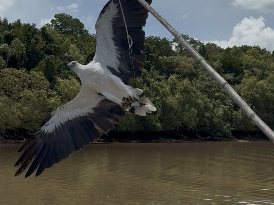 Spectacular Jumping Crocodile Cruise-达尔文市必去景点
