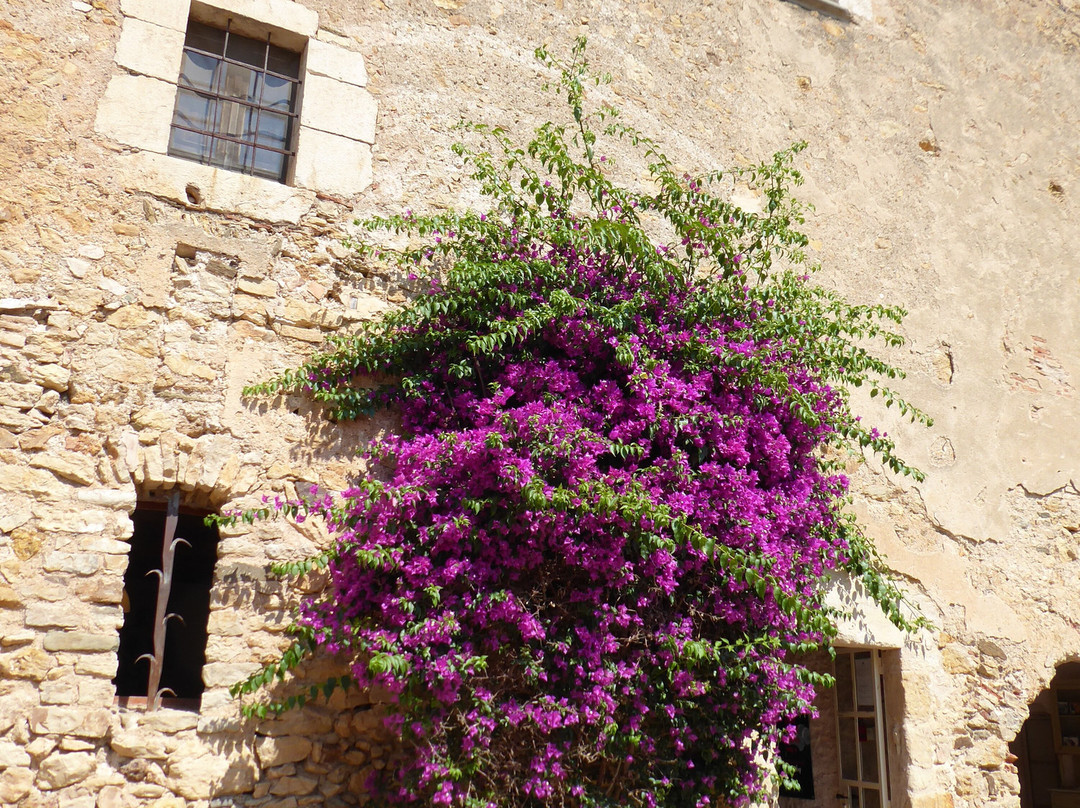 Mas Oller-Torrent必去景点