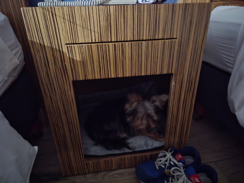 Radisson Hotel & Convention Center Toluca-客卧