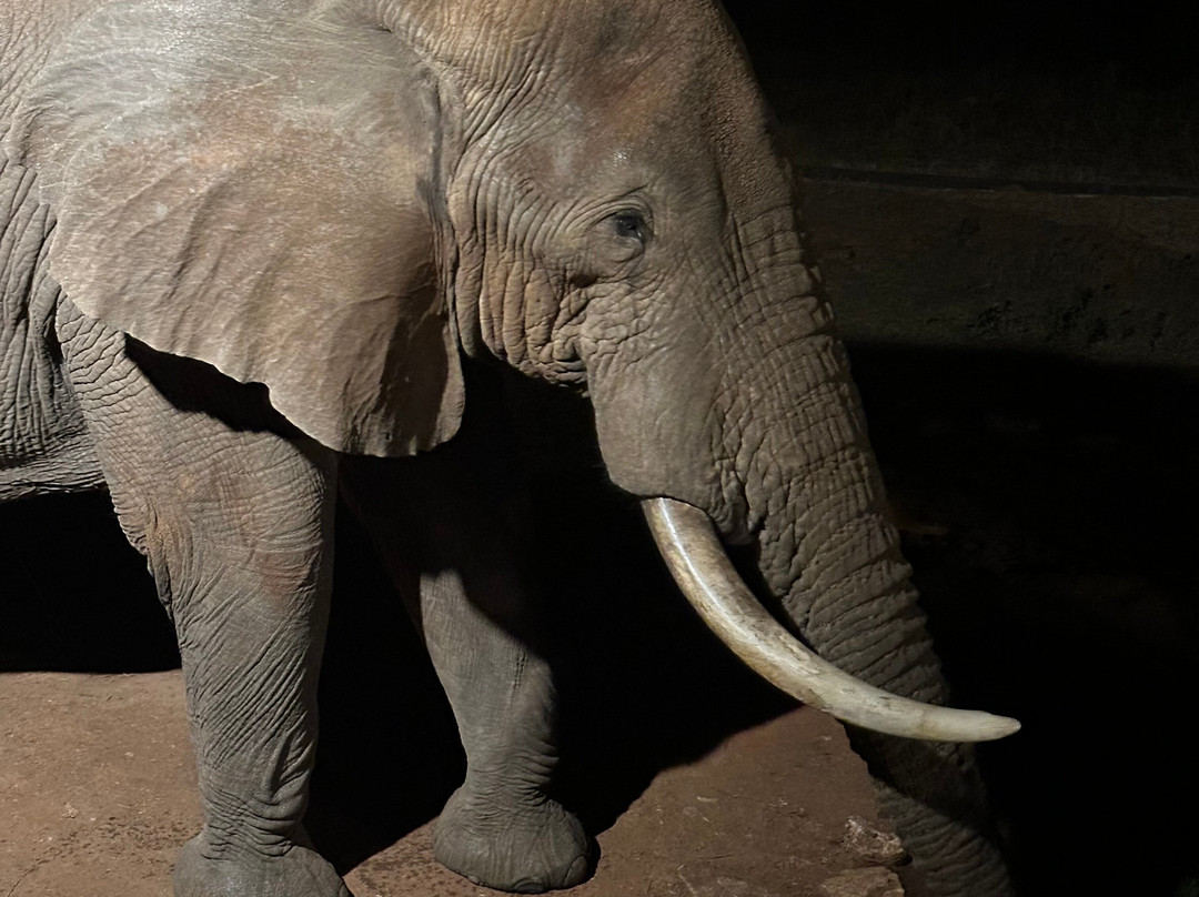 Totti Kenya-安博塞利国家公园必去景点