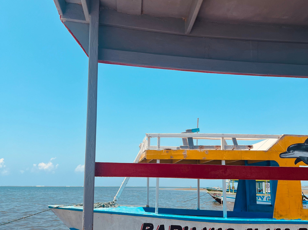 Mombasa Marine National Park-蒙巴萨必去景点