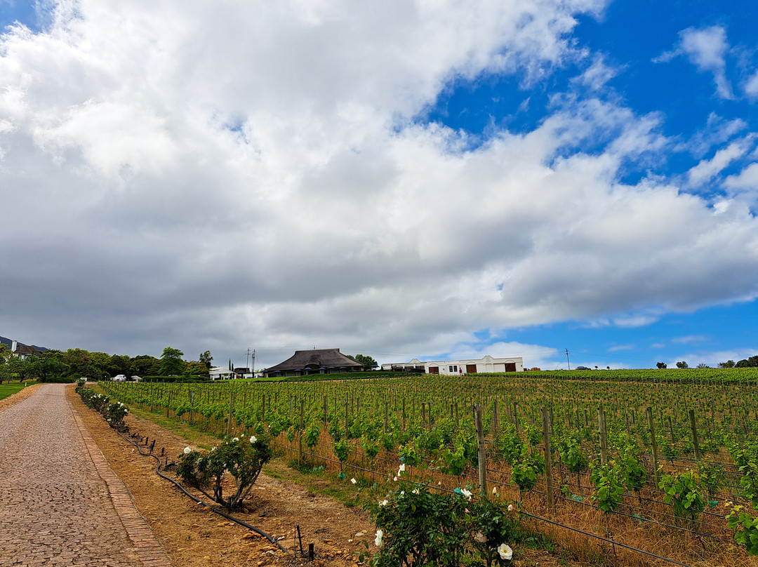 Bouchard Finlayson Winery-赫曼努斯必去景点