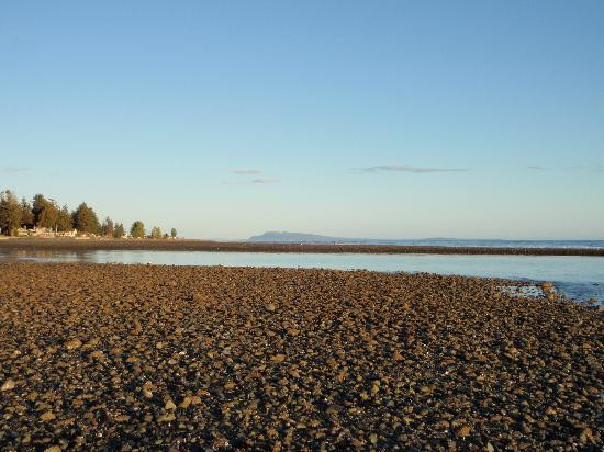 Qualicum Beach House主图