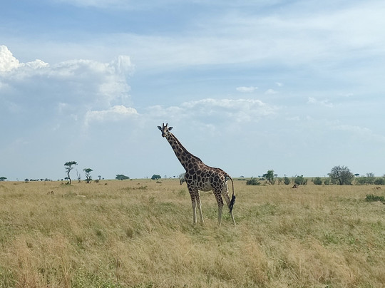 Galactic Safaris-卡巴莱必去景点