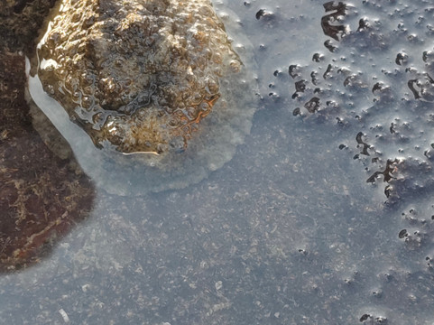 Wildnest Travel & Photography-孟买必去景点