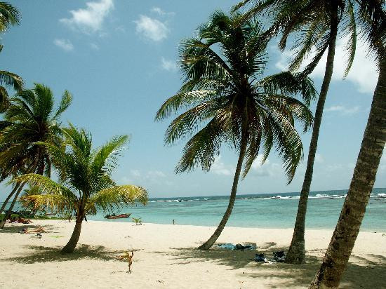 Club Caravelles主图