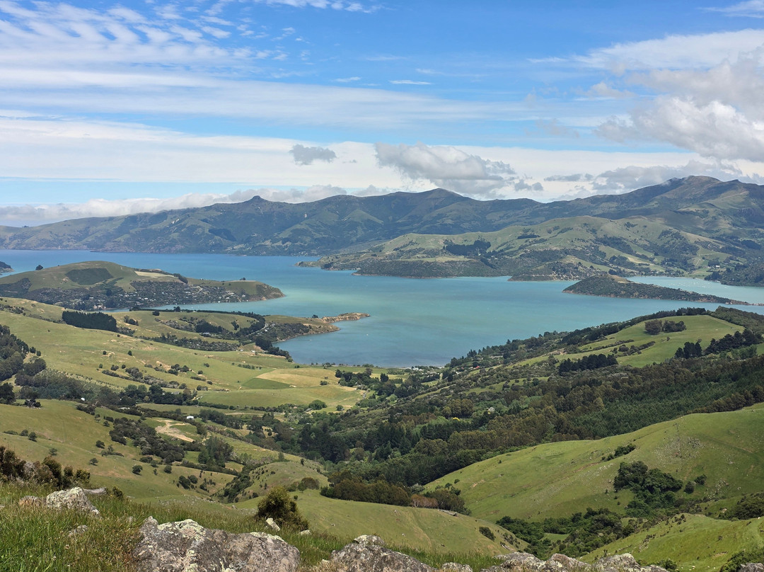 Akaroa's Eastern Bays Scenic Mail Run-阿卡罗阿必去景点