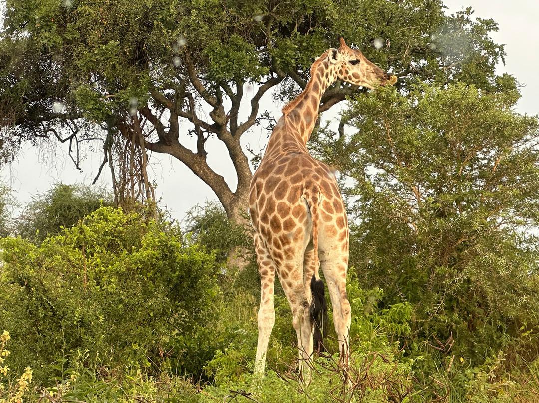 Uganda Family Tours & Travel-Fort Portal必去景点