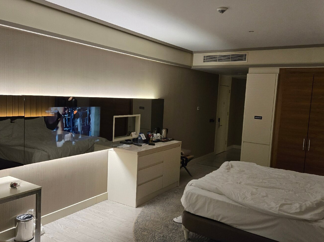 Bayir Diamond Hotel & Convention Center Konya主图