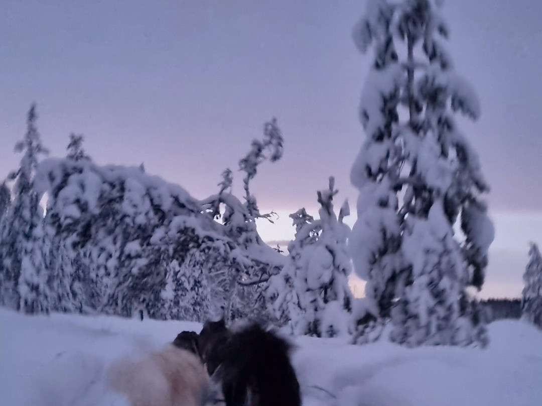 Primitif Aventure-伊瓦洛必去景点