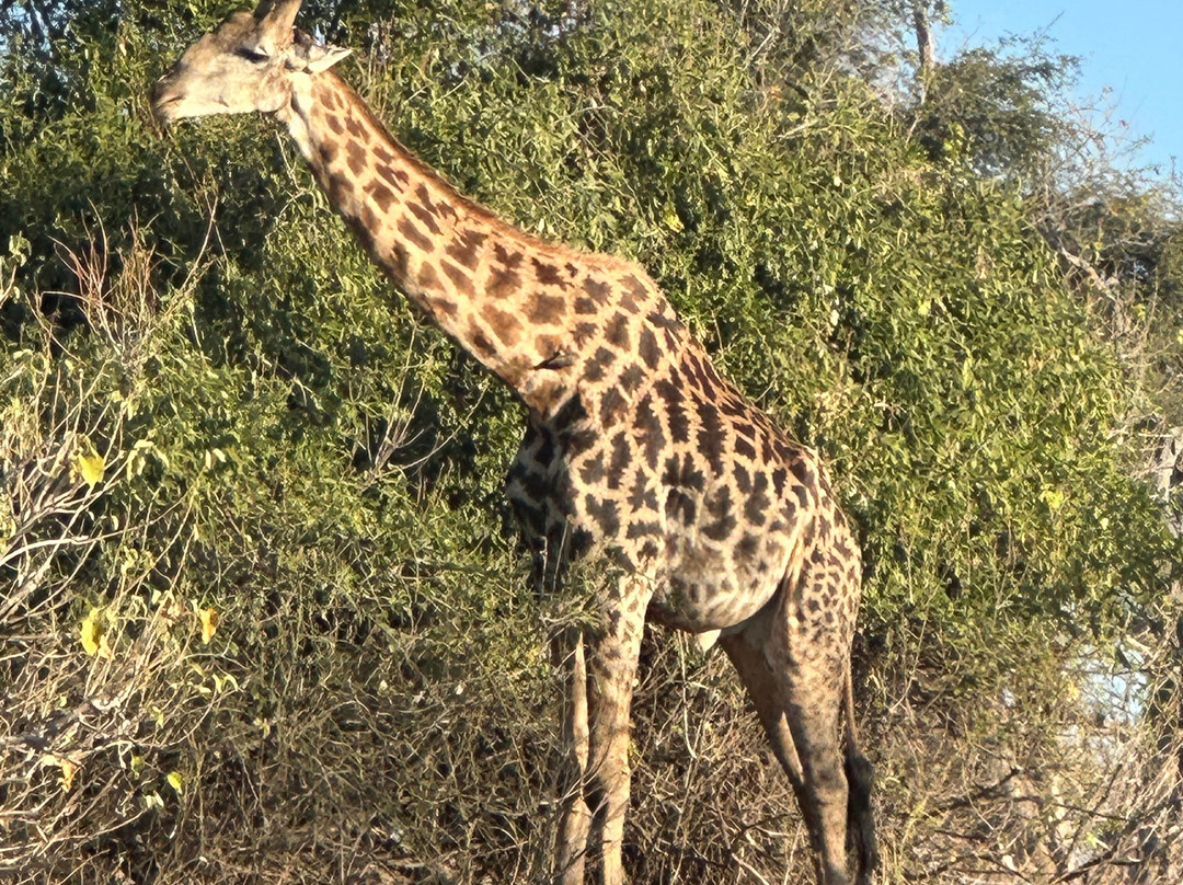 Dusty Foot Tours Namibia-温德和克必去景点
