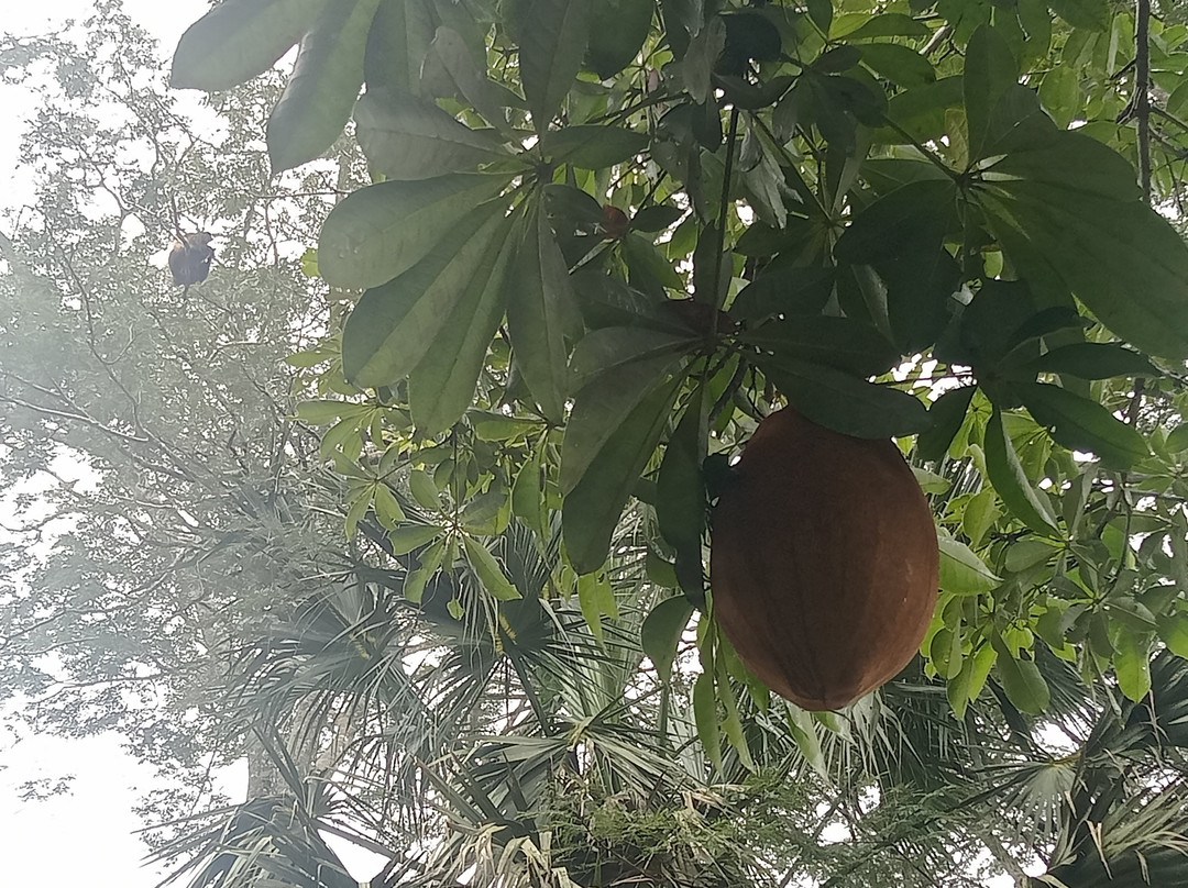 Aluxes Ecoparque-帕伦克必去景点