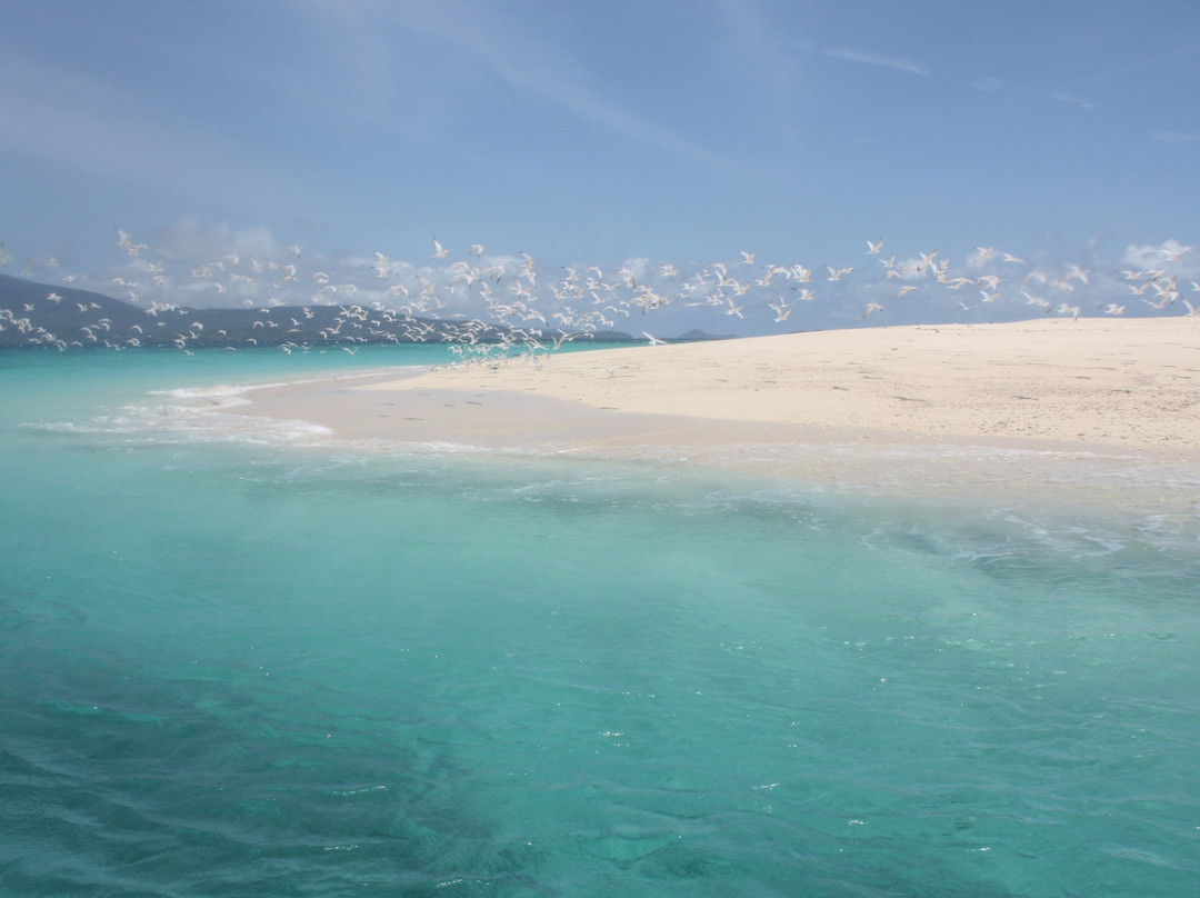 Sea Blue Safari-Mamoudzou必去景点