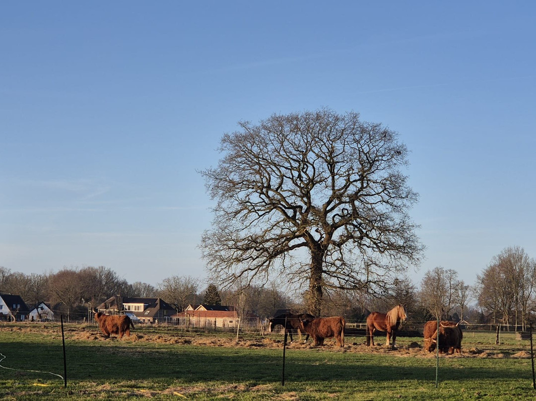 Vriezes Erfgoed Wapenveld-Wapenveld必去景点