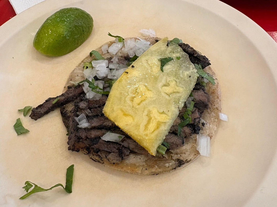 Stepping Mexico-墨西哥城必去景点