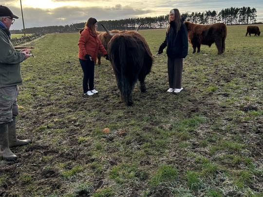 Newton Farm Holidays & Tours主图