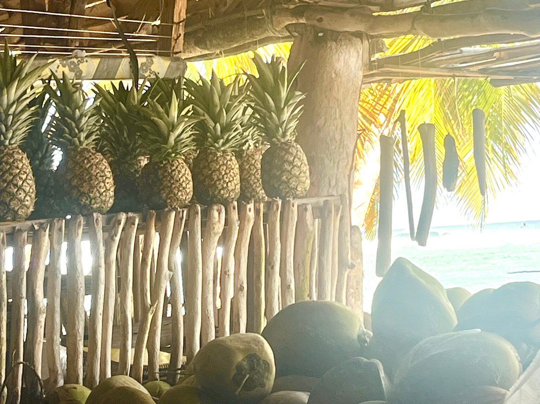 OlympiaOnBoard-Las Galeras必去景点