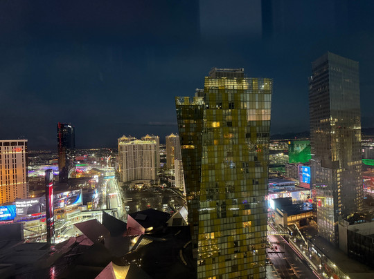 阿丽雅赌场酒店主图