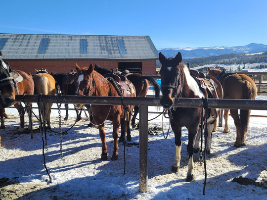Rocky Mountain Stables-格兰比必去景点