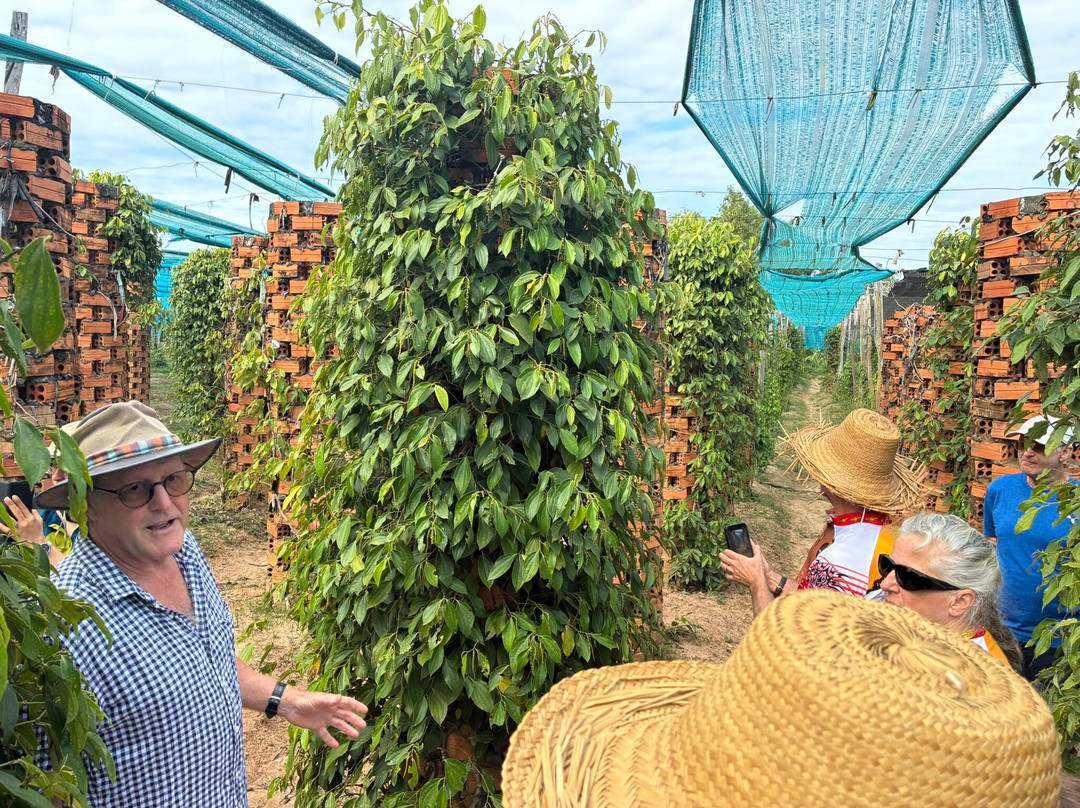 BoTree Farm-贡布必去景点