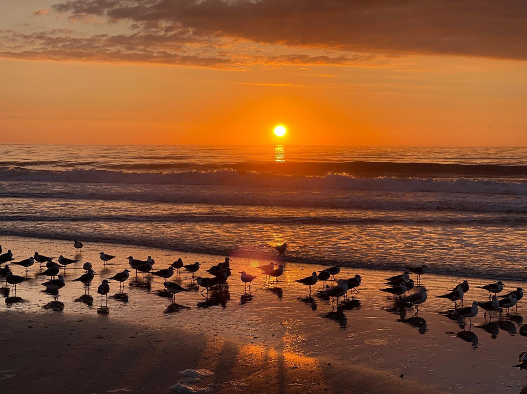 Hilton Royale Palms主图