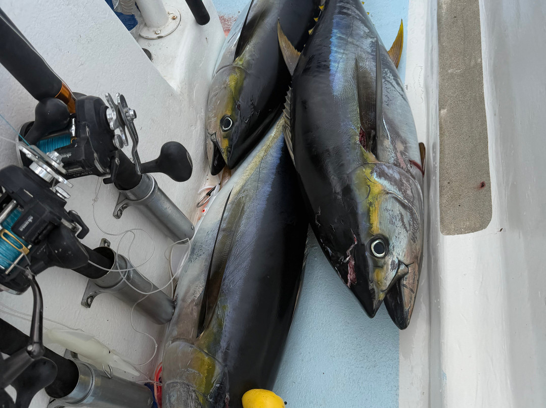 Samara Deep Sea Fishing And Lodge-萨玛拉滩必去景点