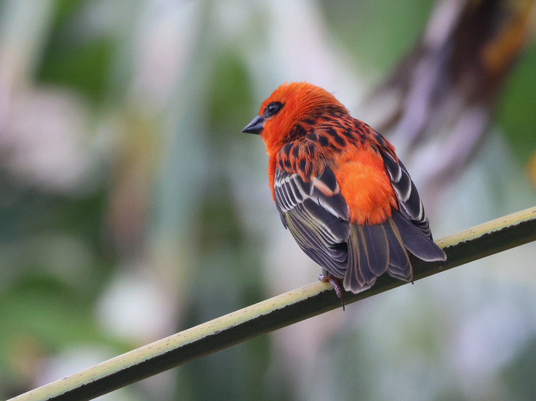Jersey Zoo-Trinity必去景点