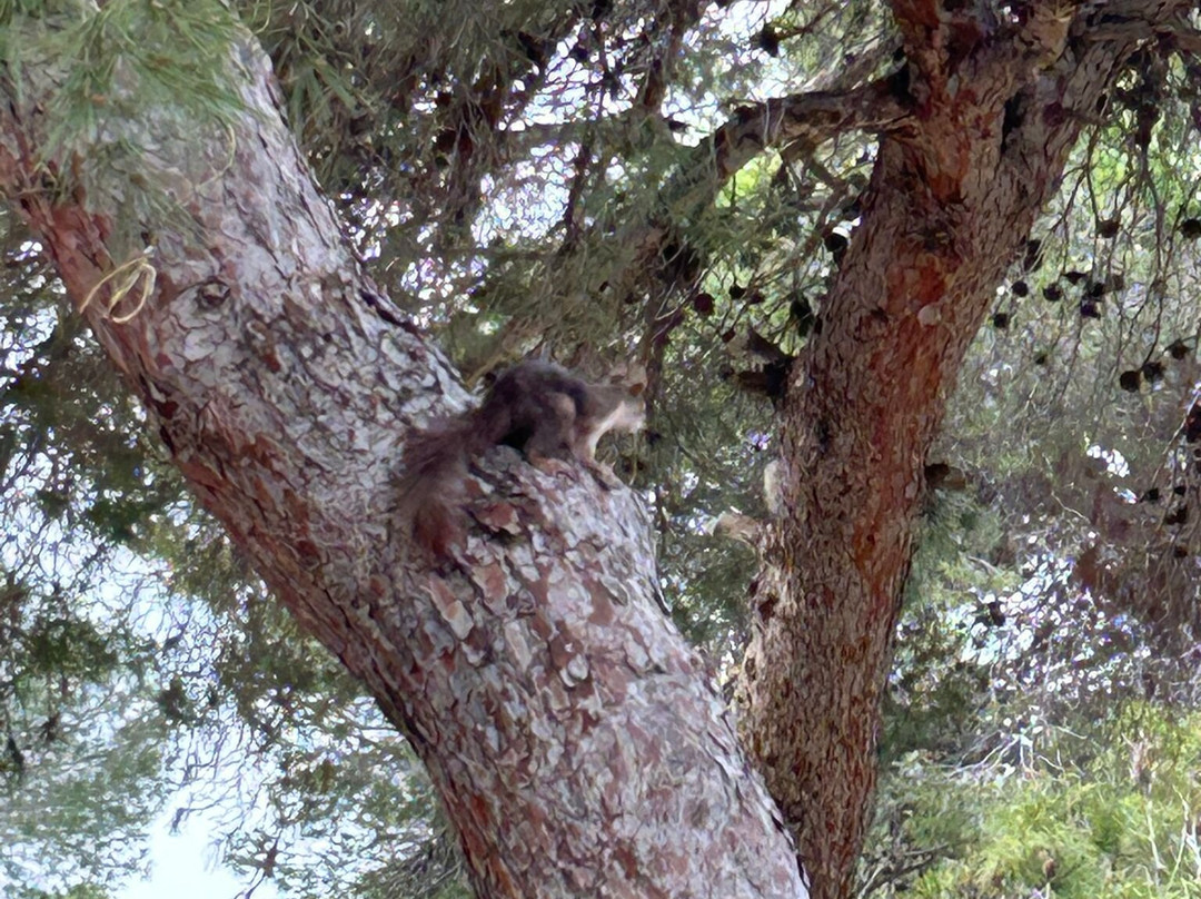 Bebe成衣定制-会安必去景点