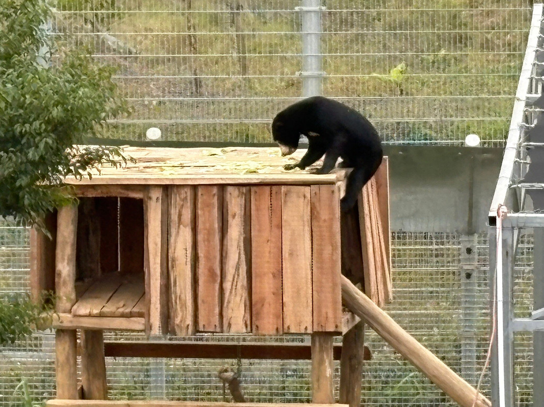Bear Sanctuary Ninh Binh-宁平必去景点