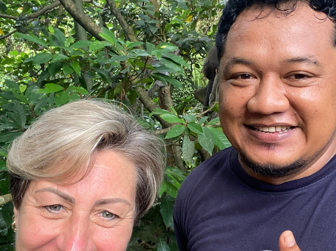 Bali Tour Buddy-乌布必去景点