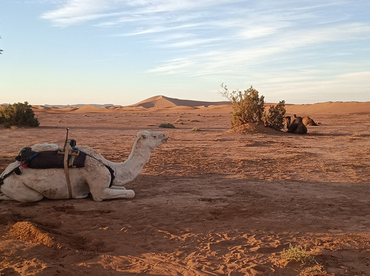 Excursion Contes du Desert-迈哈米德必去景点