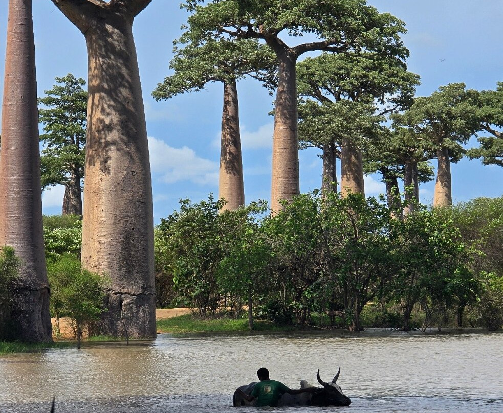 Soul of Madagascar Tours-Toamasina (Tamatave)必去景点