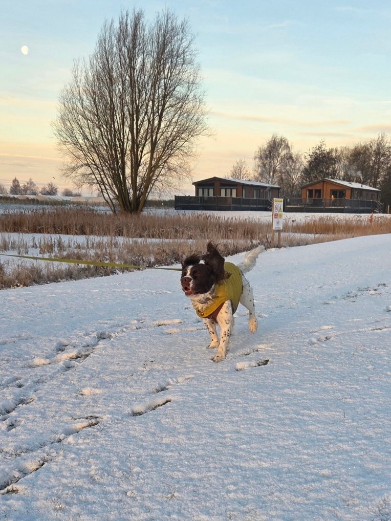 Appletree Holiday Park-官方