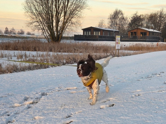 Appletree Holiday Park主图