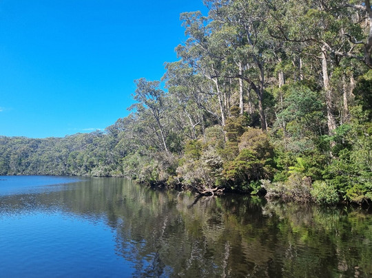 Arthur River Cruises-Arthur River必去景点