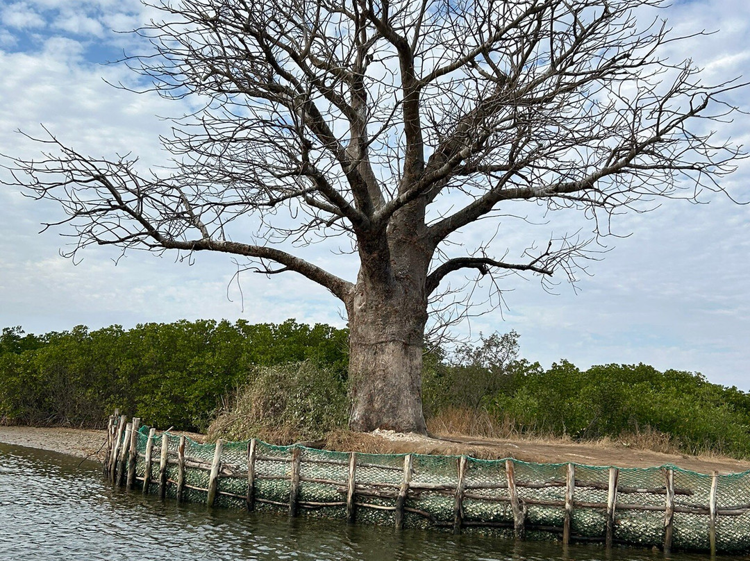 Max Sakho Chauffeur Guide-Saly必去景点