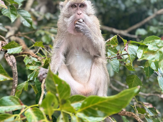 One Love Co Ltd.-毛里求斯必去景点