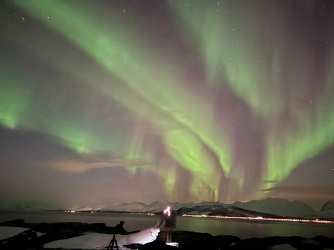 Steam Tours-特罗姆瑟必去景点