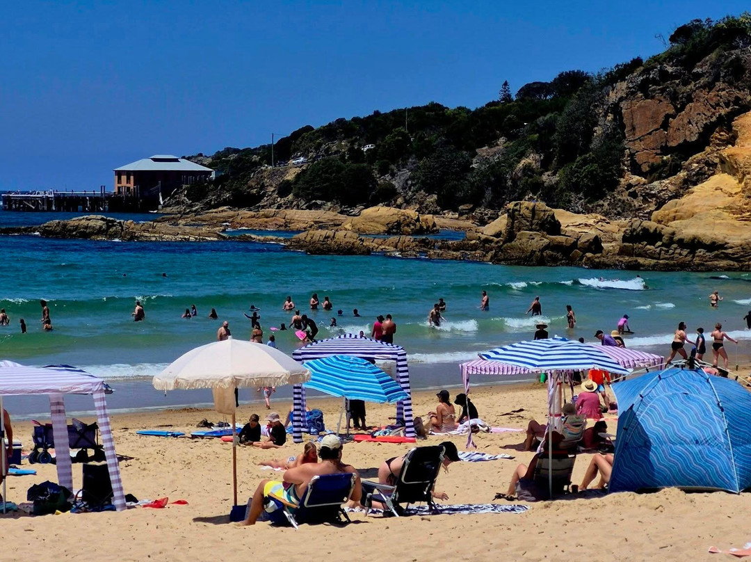 塔斯拉海滩楼主图