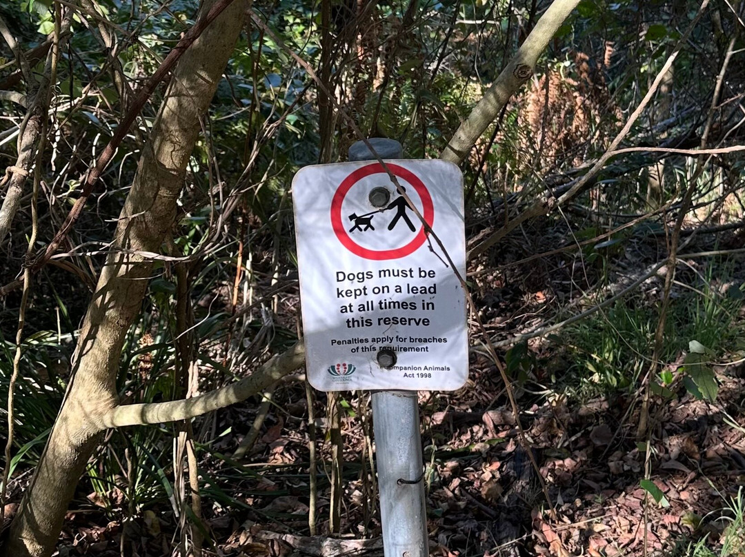 Clive Park-Northbridge必去景点