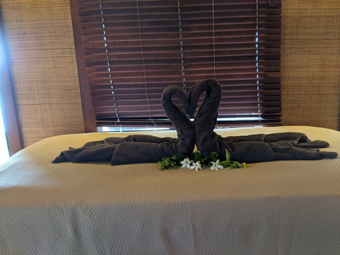 马哈纳酒店主图