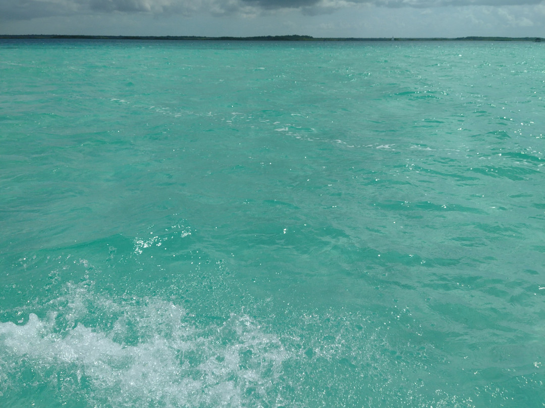 Wild Bacalar Adventures - Sailing & Pontoon Tours-Bacalar必去景点