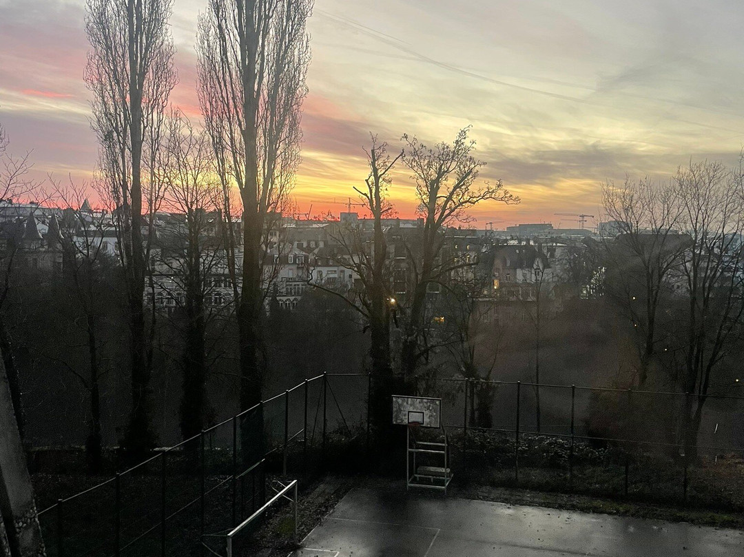 卢森堡高瑞斯集团主图