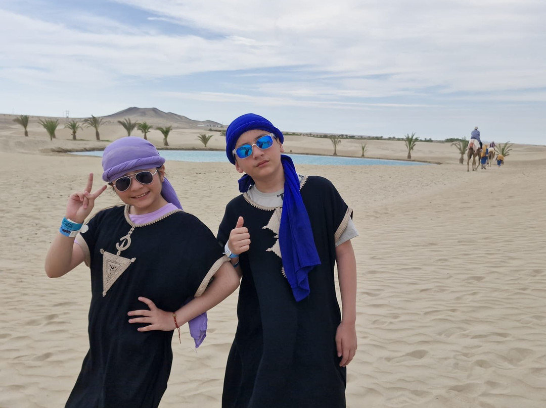 Dromedarius-伊卡必去景点