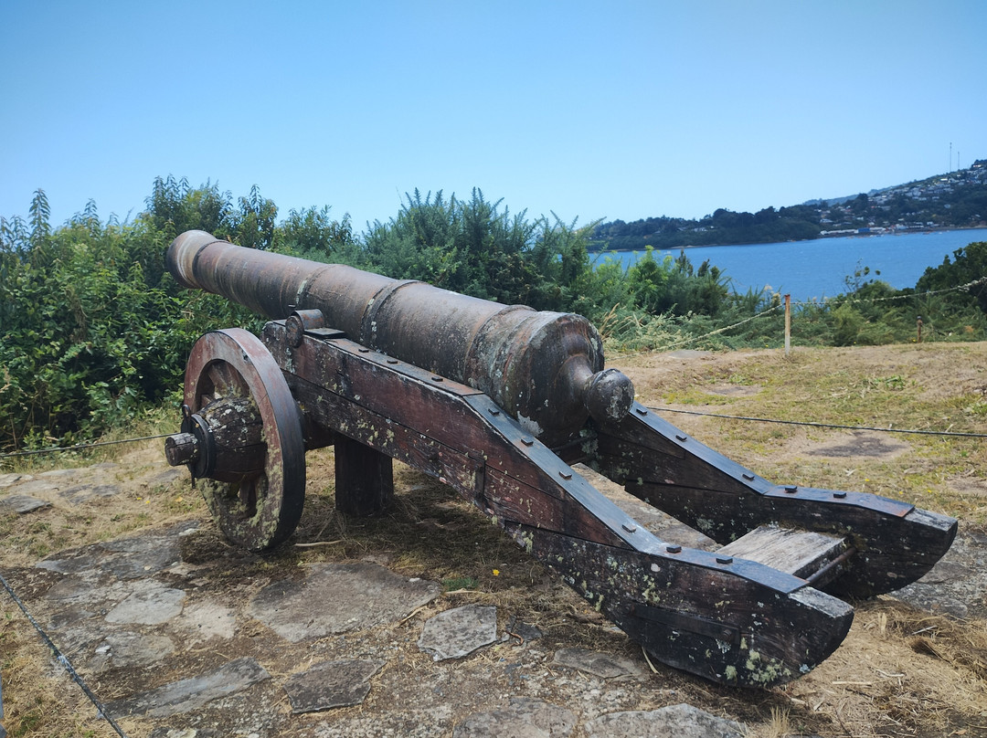 Isla Mancera-瓦尔迪维亚必去景点