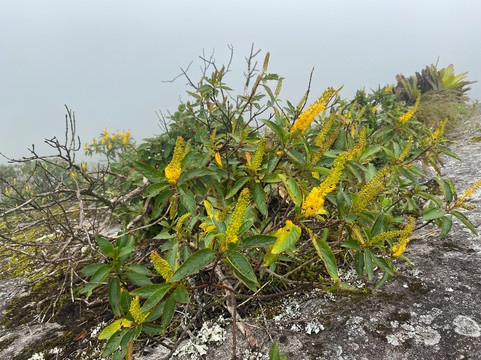 Rio Montanha-里约热内卢必去景点